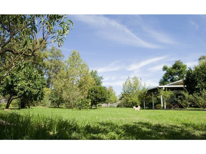 Scone NSW 2337