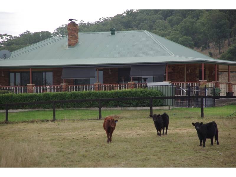 201 Wells Gully Road, Muswellbrook NSW 2333