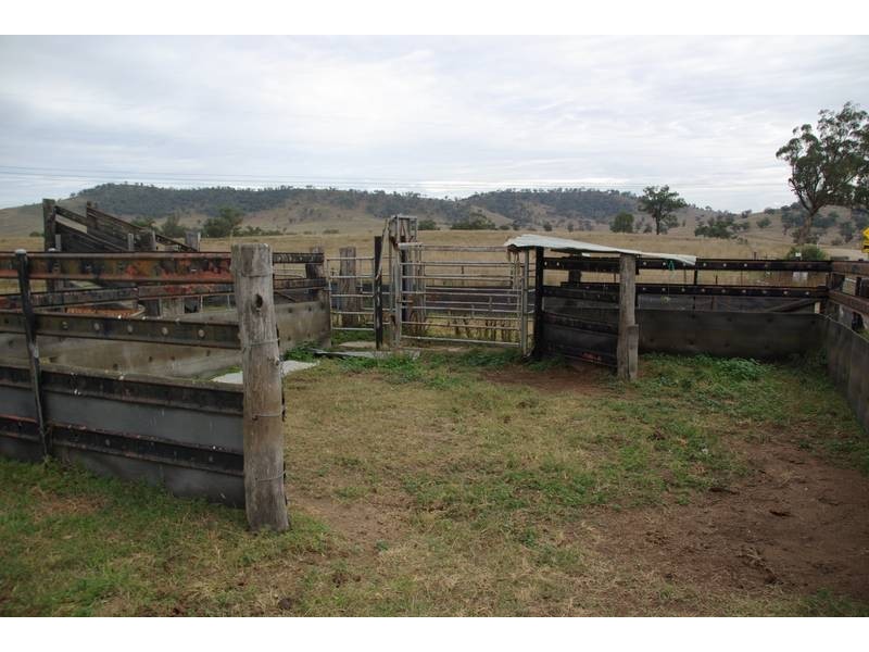 201 Wells Gully Road, Muswellbrook NSW 2333