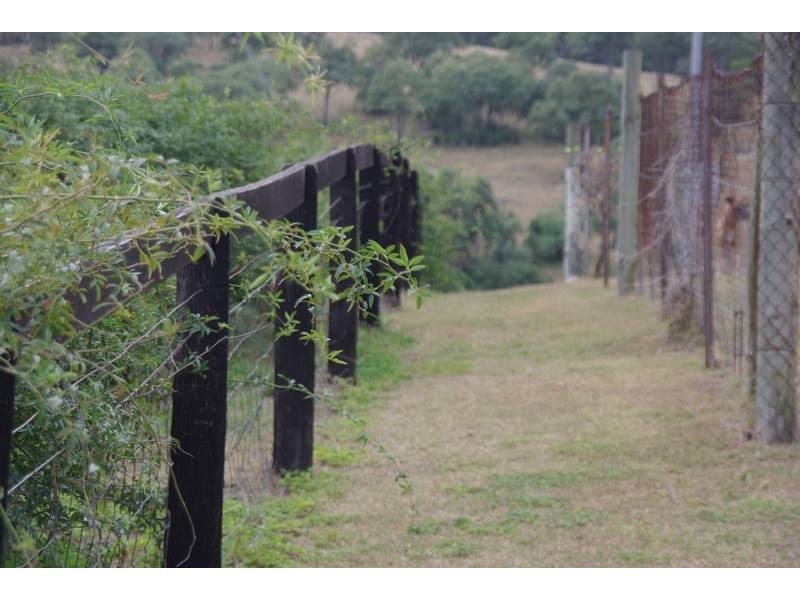 201 Wells Gully Road, Muswellbrook NSW 2333