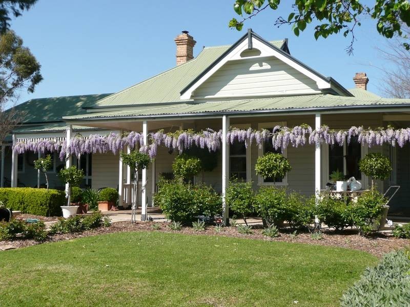Scone NSW 2337