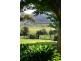 Scone NSW 2337