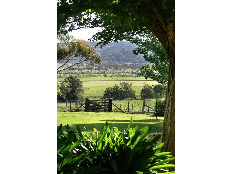 Scone NSW 2337