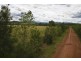 43 Bunnan, Scone NSW 2337