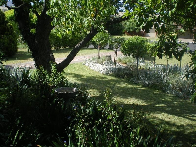 4 Little Street, Scone NSW 2337