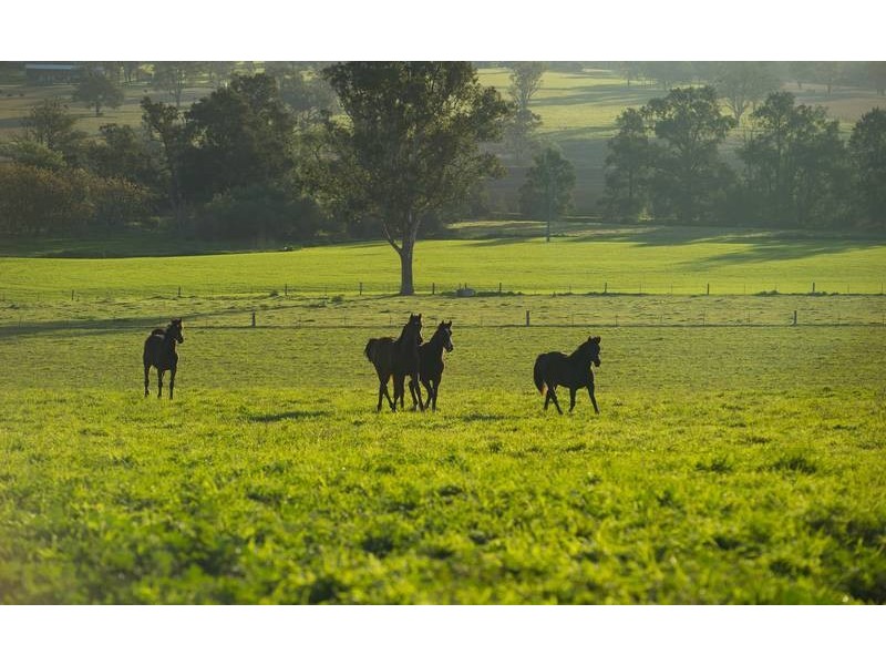 565 Middlebrook Road, Scone NSW 2337