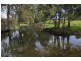 565 Middlebrook Road, Scone NSW 2337