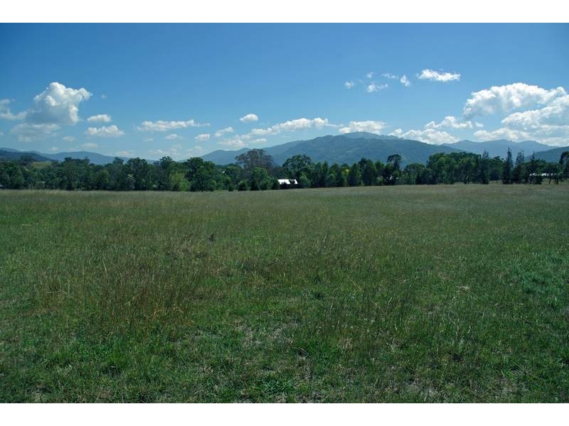 15 Finch Street, Blandford NSW 2338