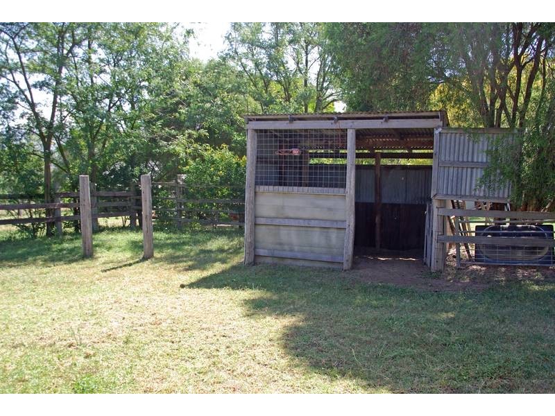 15 Finch Street, Blandford NSW 2338