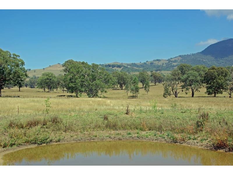 15 Finch Street, Blandford NSW 2338