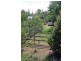 15 Finch Street, Blandford NSW 2338