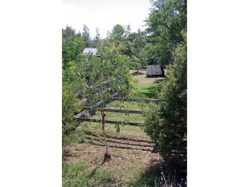 15 Finch Street, Blandford NSW 2338