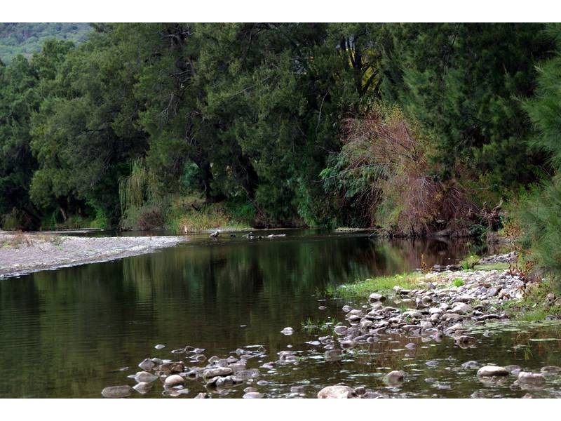1432 Gundy Road, Scone NSW 2337