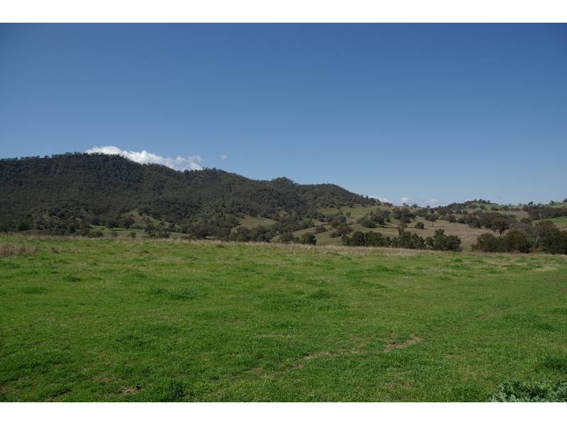 1432 Gundy Road, Scone NSW 2337