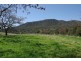 1432 Gundy Road, Scone NSW 2337