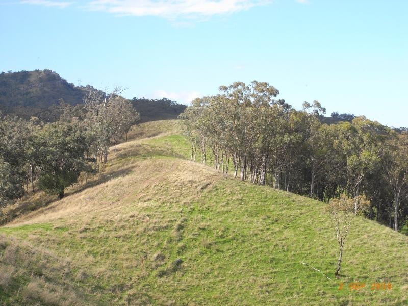 . “Black Mountain”, Scone NSW 2337