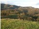 . “Black Mountain”, Scone NSW 2337