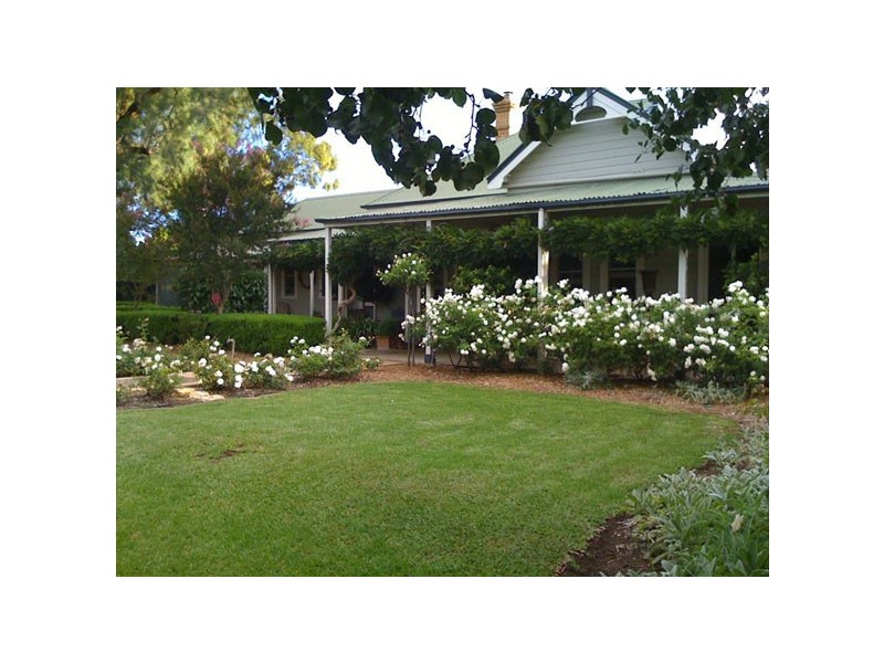 Scone NSW 2337