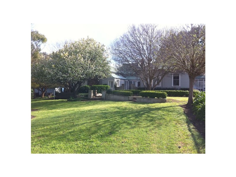 Scone NSW 2337
