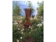 Scone NSW 2337