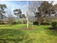 Scone NSW 2337