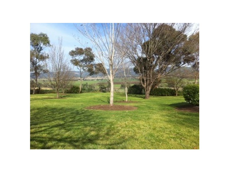 Scone NSW 2337