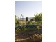 Scone NSW 2337