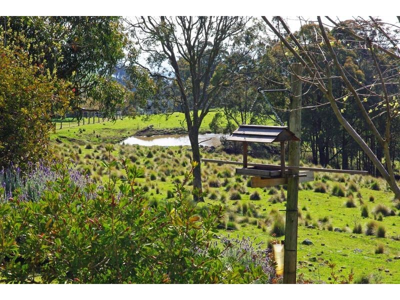 Lot 4, Mt Helen Station, Murrurundi NSW 2338