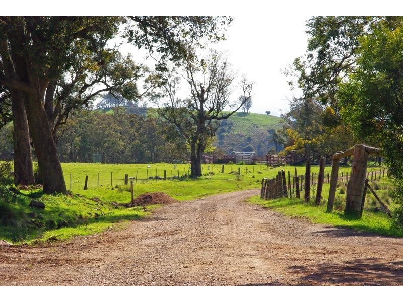 Lot 4, Mt Helen Station, Murrurundi NSW 2338