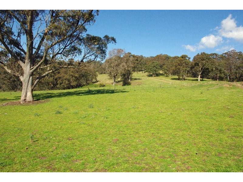 Lot 4, Mt Helen Station, Murrurundi NSW 2338