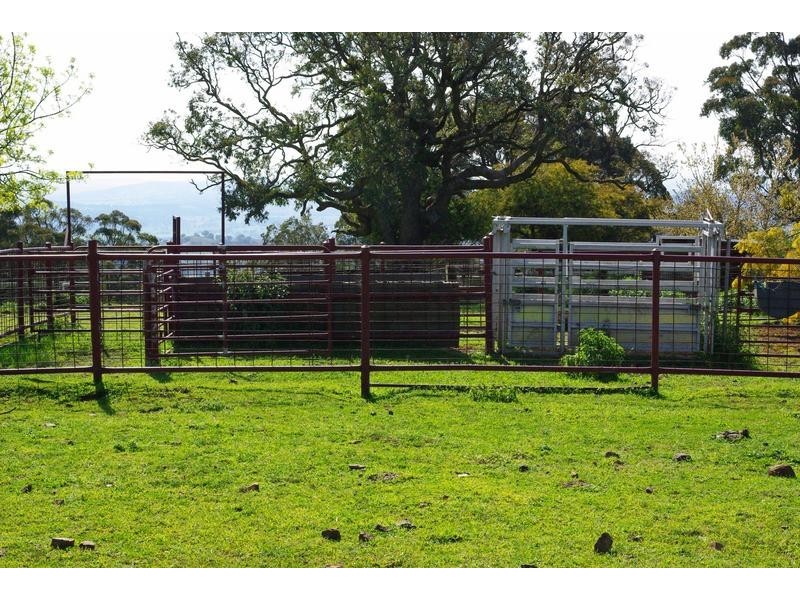 Lot 4, Mt Helen Station, Murrurundi NSW 2338
