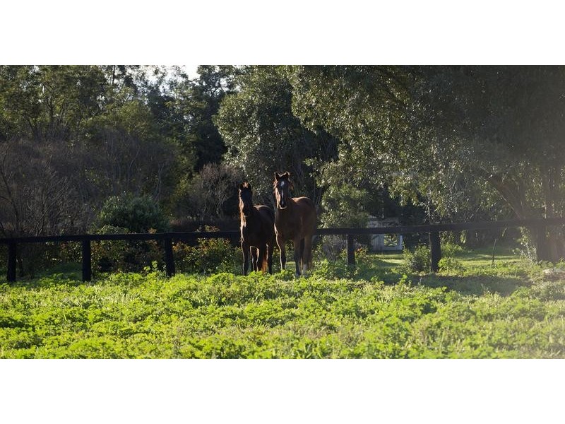 Tullong Road, Scone NSW 2337