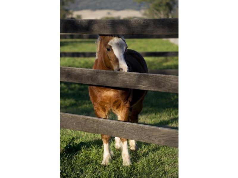 Tullong Road, Scone NSW 2337