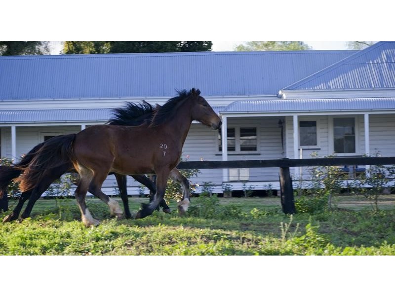 Tullong Road, Scone NSW 2337