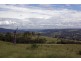 Owens Gap, Scone NSW 2337
