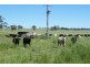 Warrah Subdivision Road, Willow Tree NSW 2339
