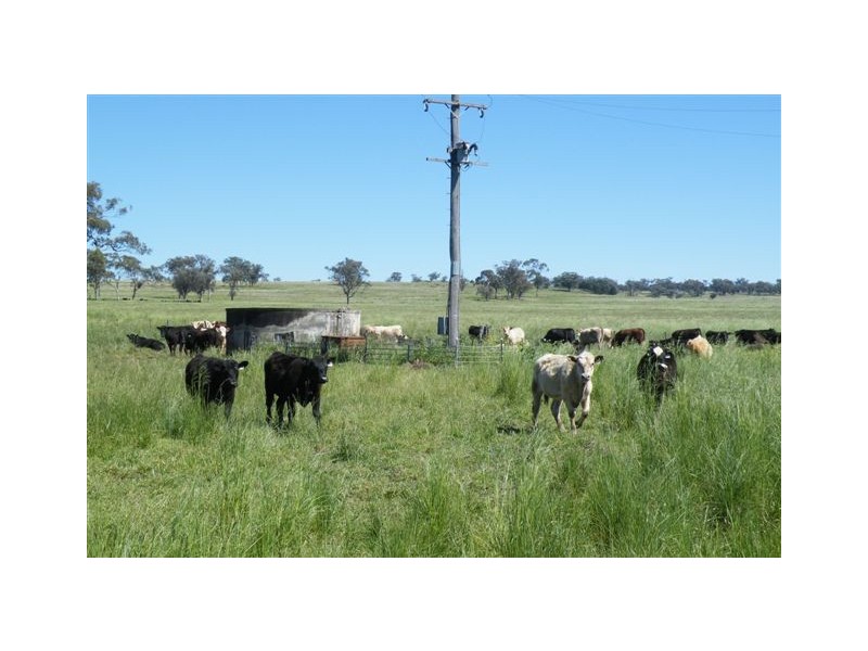 Warrah Subdivision Road, Willow Tree NSW 2339