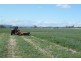 Warrah Subdivision Road, Willow Tree NSW 2339