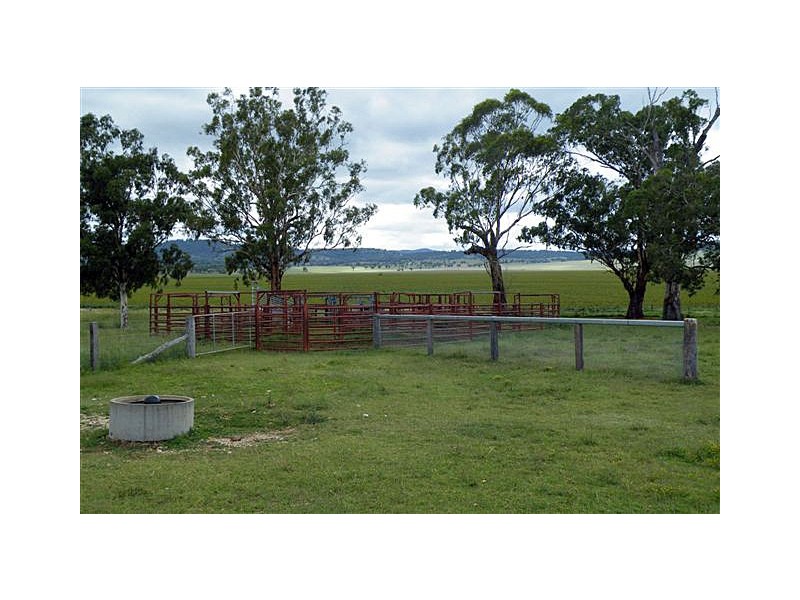 Warrah Subdivision Road, Willow Tree NSW 2339