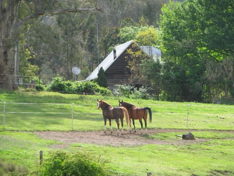 Crawney Road, Timor NSW 2338