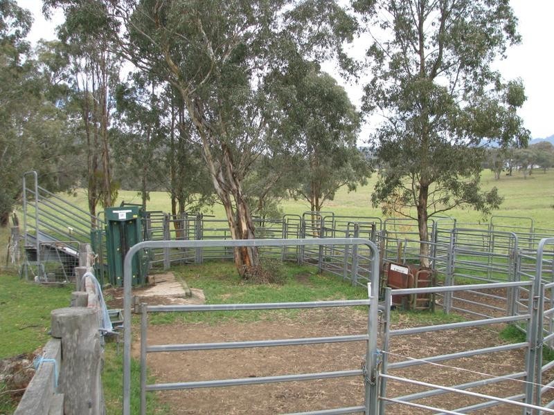 Crawney Road, Timor NSW 2338