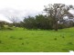 Crawney Road, Timor NSW 2338