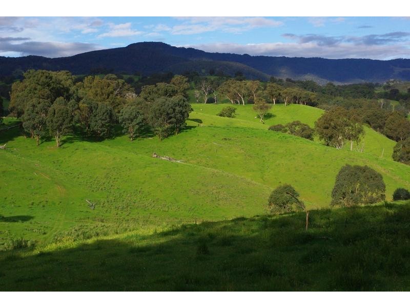 Crawney Road, Timor NSW 2338