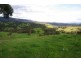 Crawney Road, Timor NSW 2338