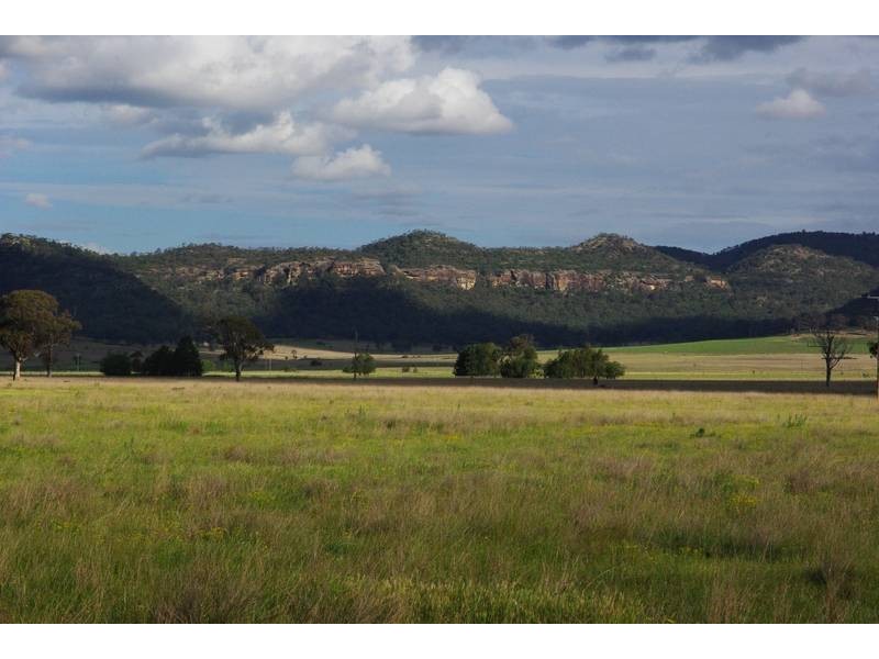 1/197 Mt Dangar Road, Sandy Hollow NSW 2333