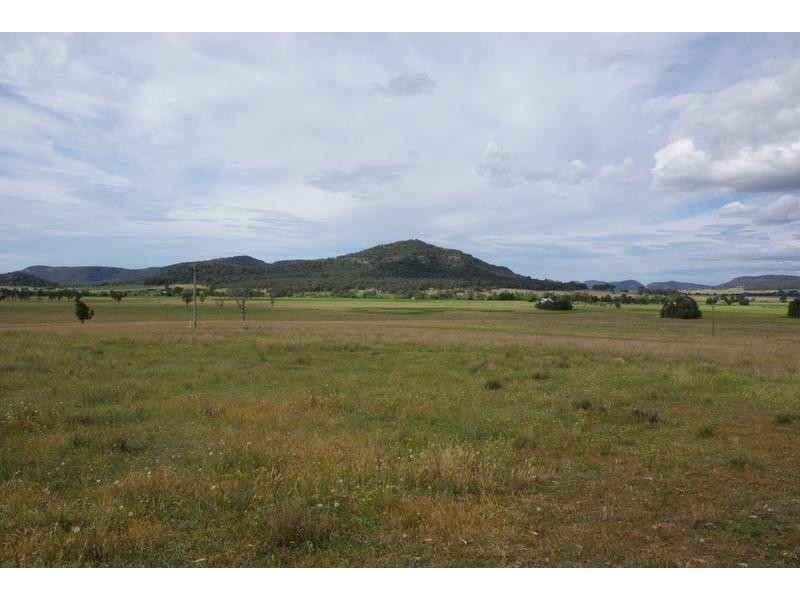 1/197 Mt Dangar Road, Sandy Hollow NSW 2333