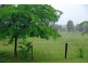122 Tullong Road, Scone NSW 2337