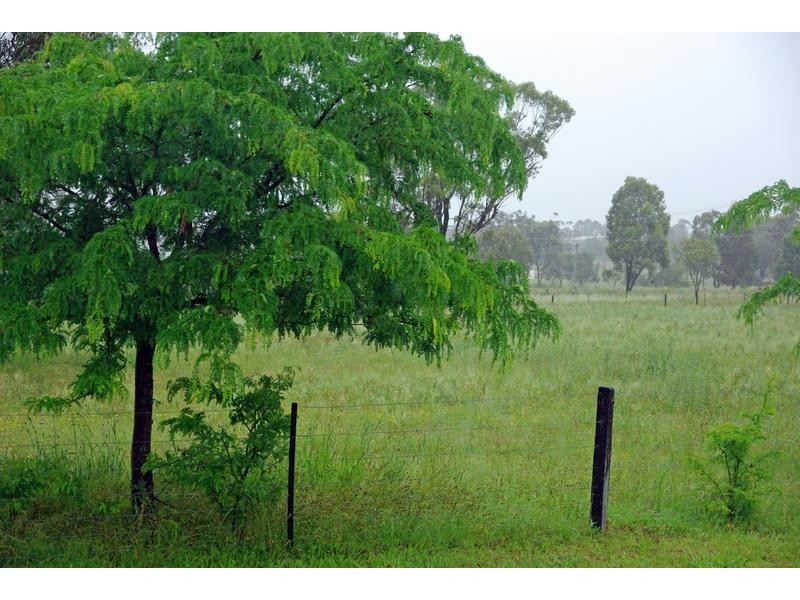 122 Tullong Road, Scone NSW 2337