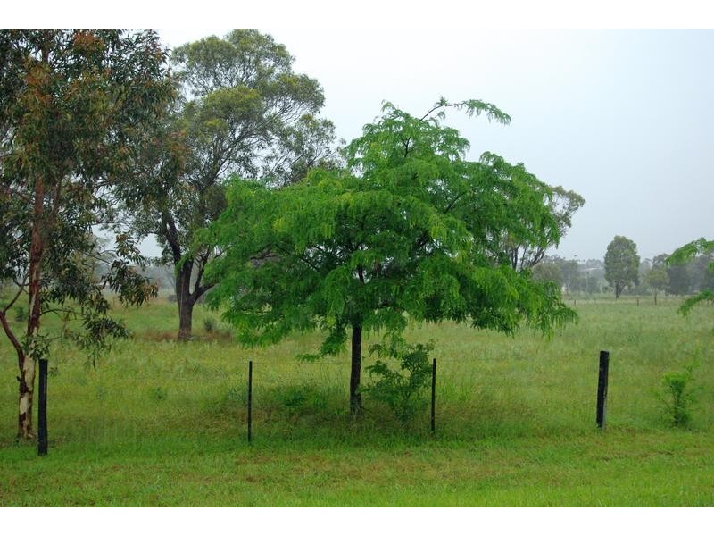 122 Tullong Road, Scone NSW 2337