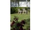 772 Muscle Creek Road, Muscle Creek NSW 2333